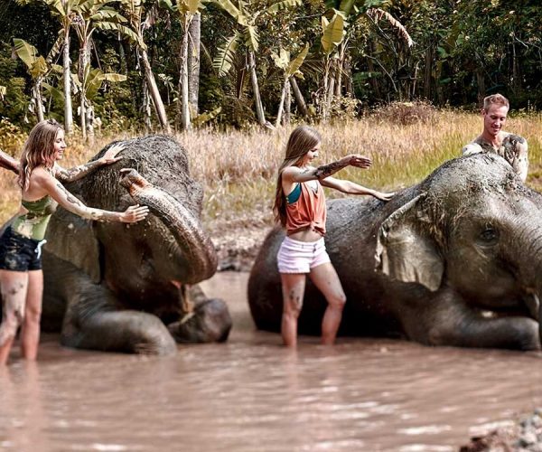 elephant-mud-fun elephant-mud-fun